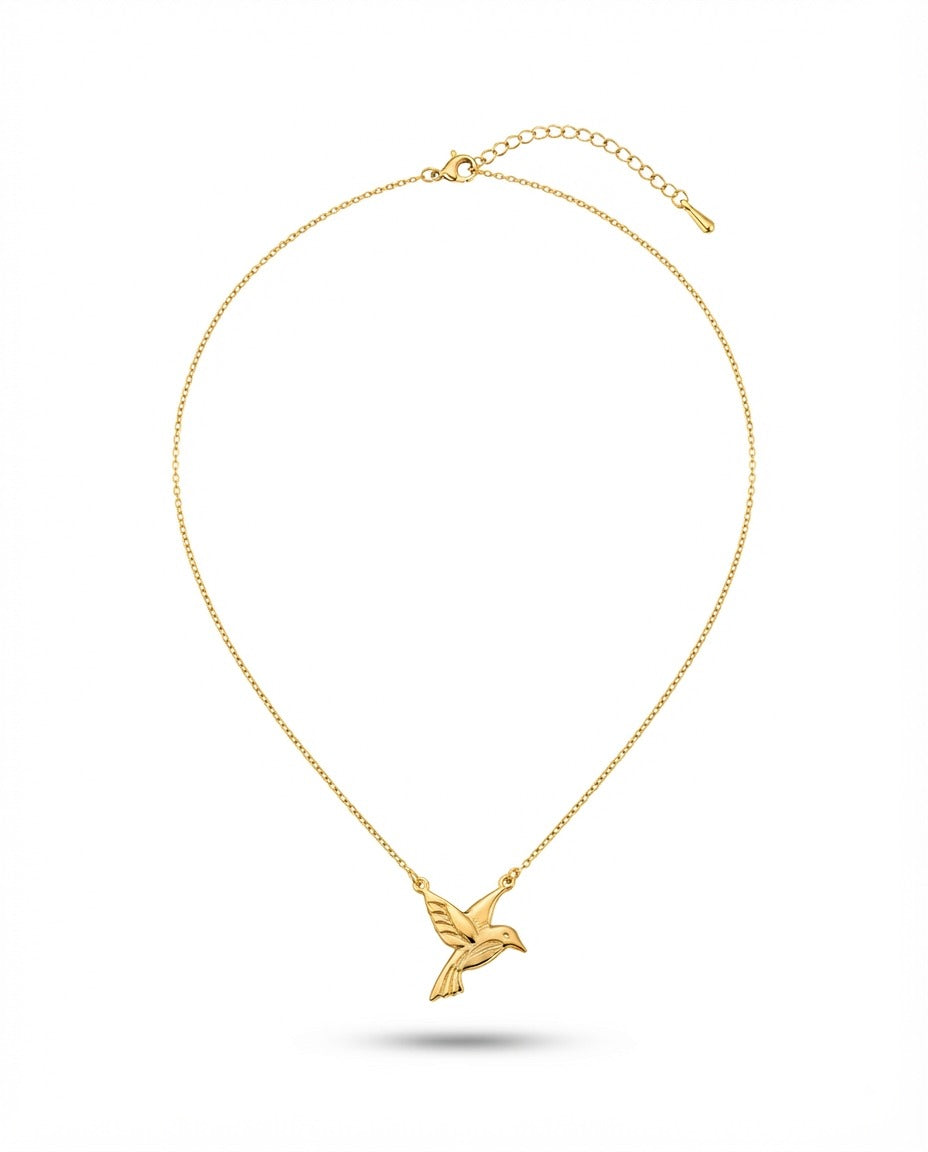 W - NKC017 -  Stainless Steel Necklace