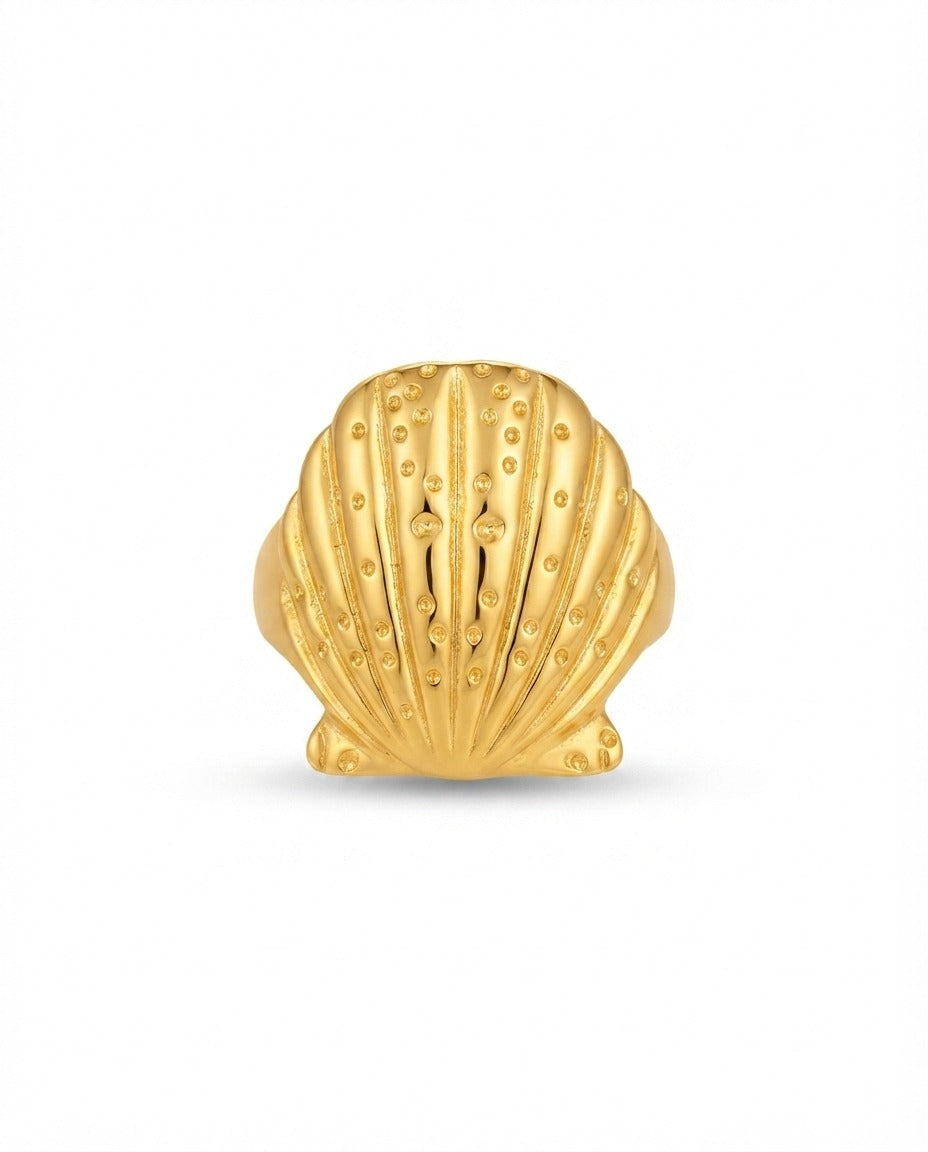 W - RNG003 - Stainless Steel RING