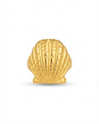 W - RNG003 - Stainless Steel RING