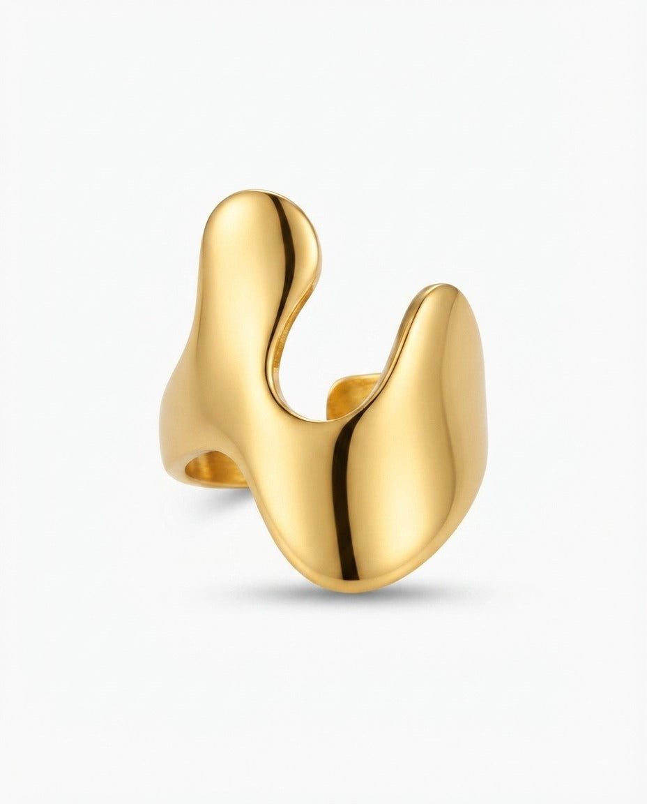 W - RNG006 - Stainless Steel RING